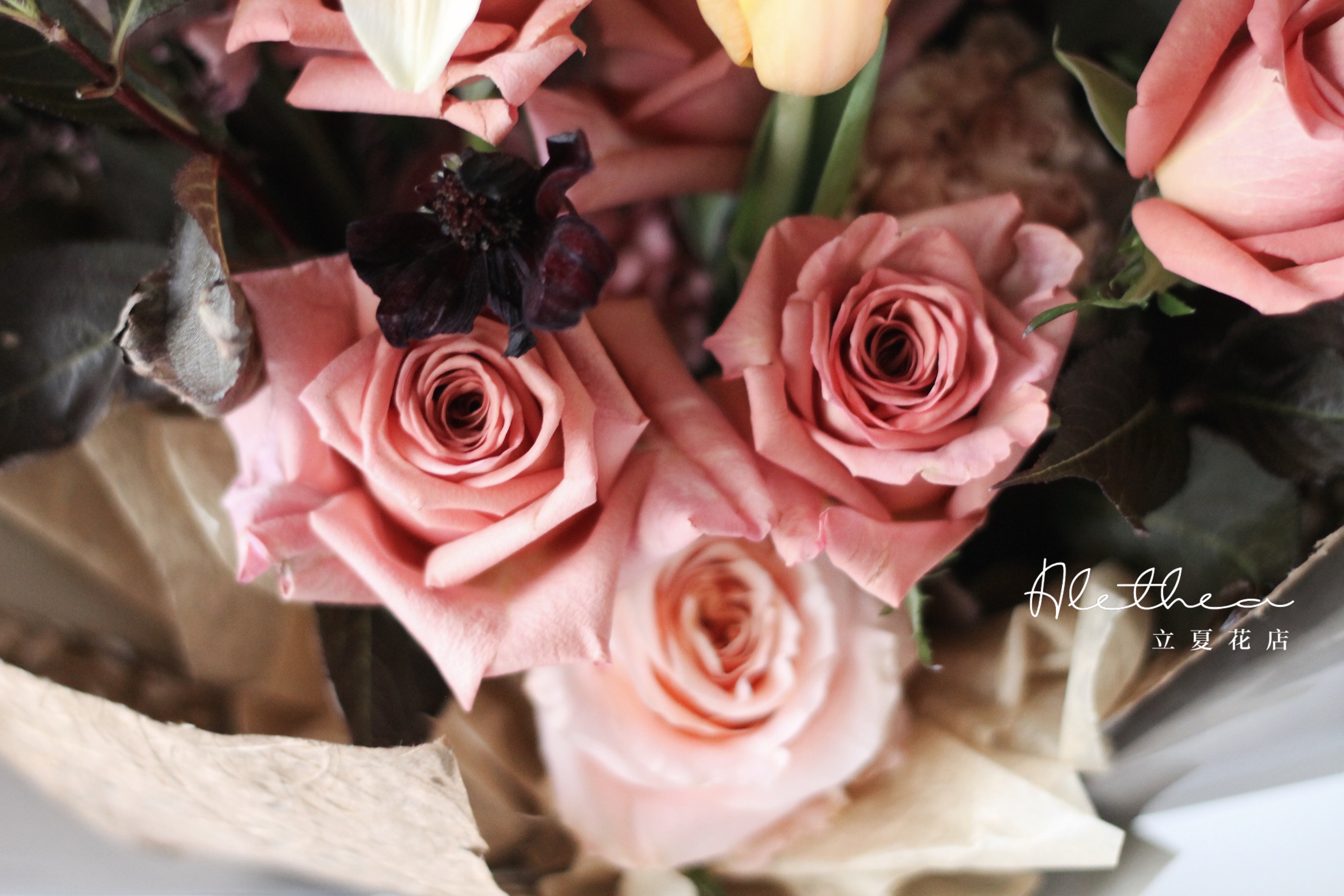 Maillard Bouquet - UMBER