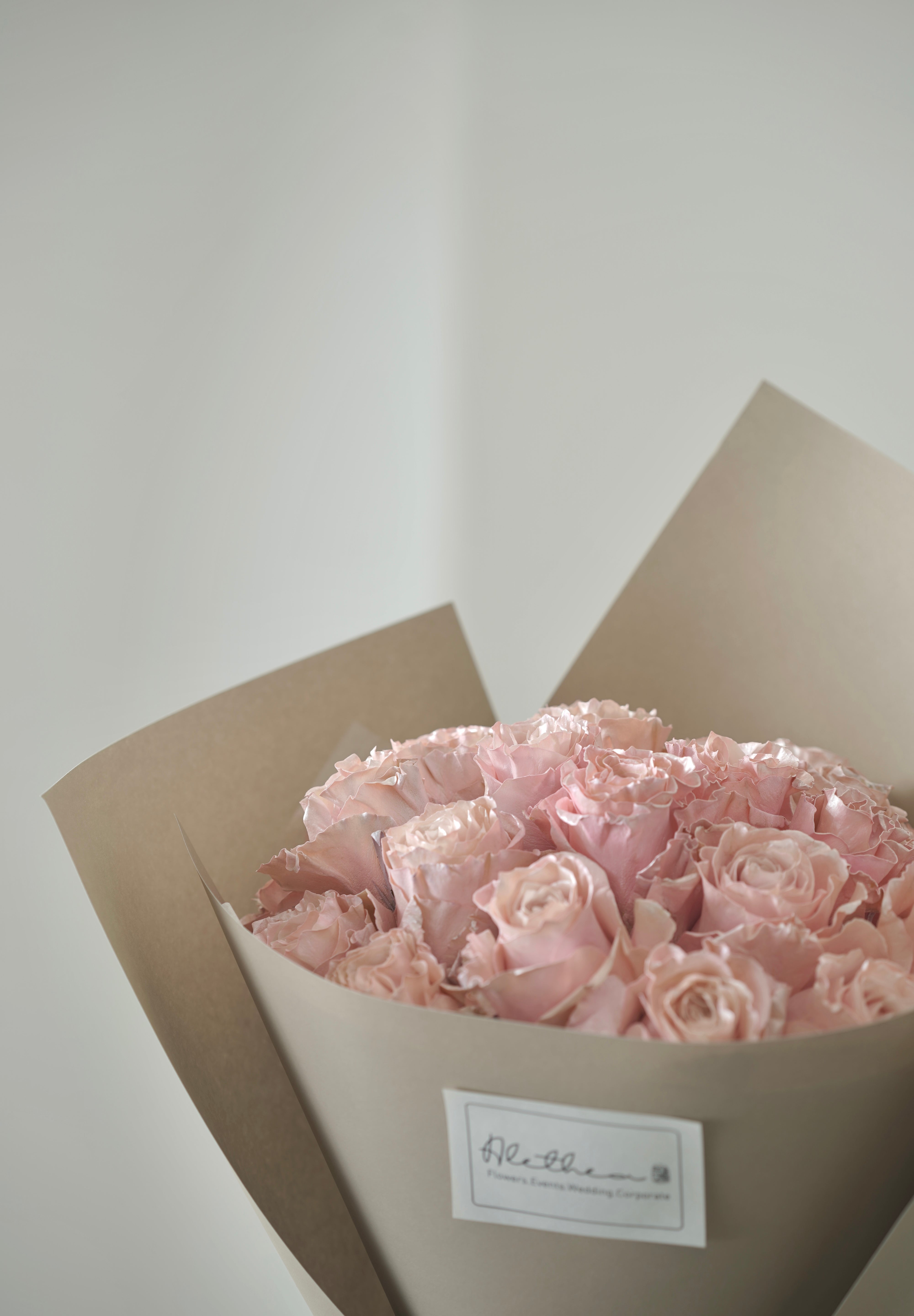 Pink Pearl-2025 Valentine’s Day