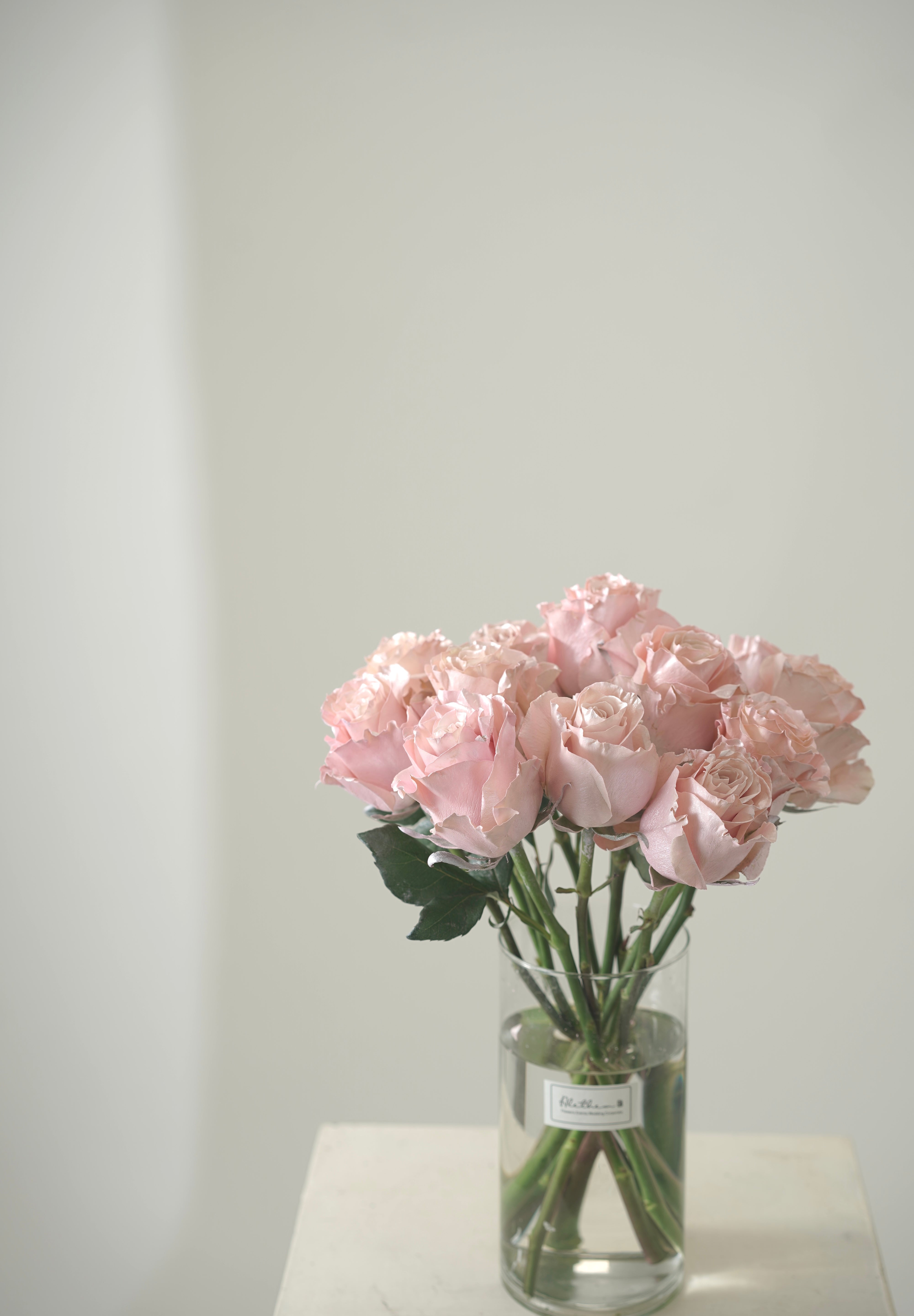 Pink Pearl Rose Vase-2025 Valentine’s Day