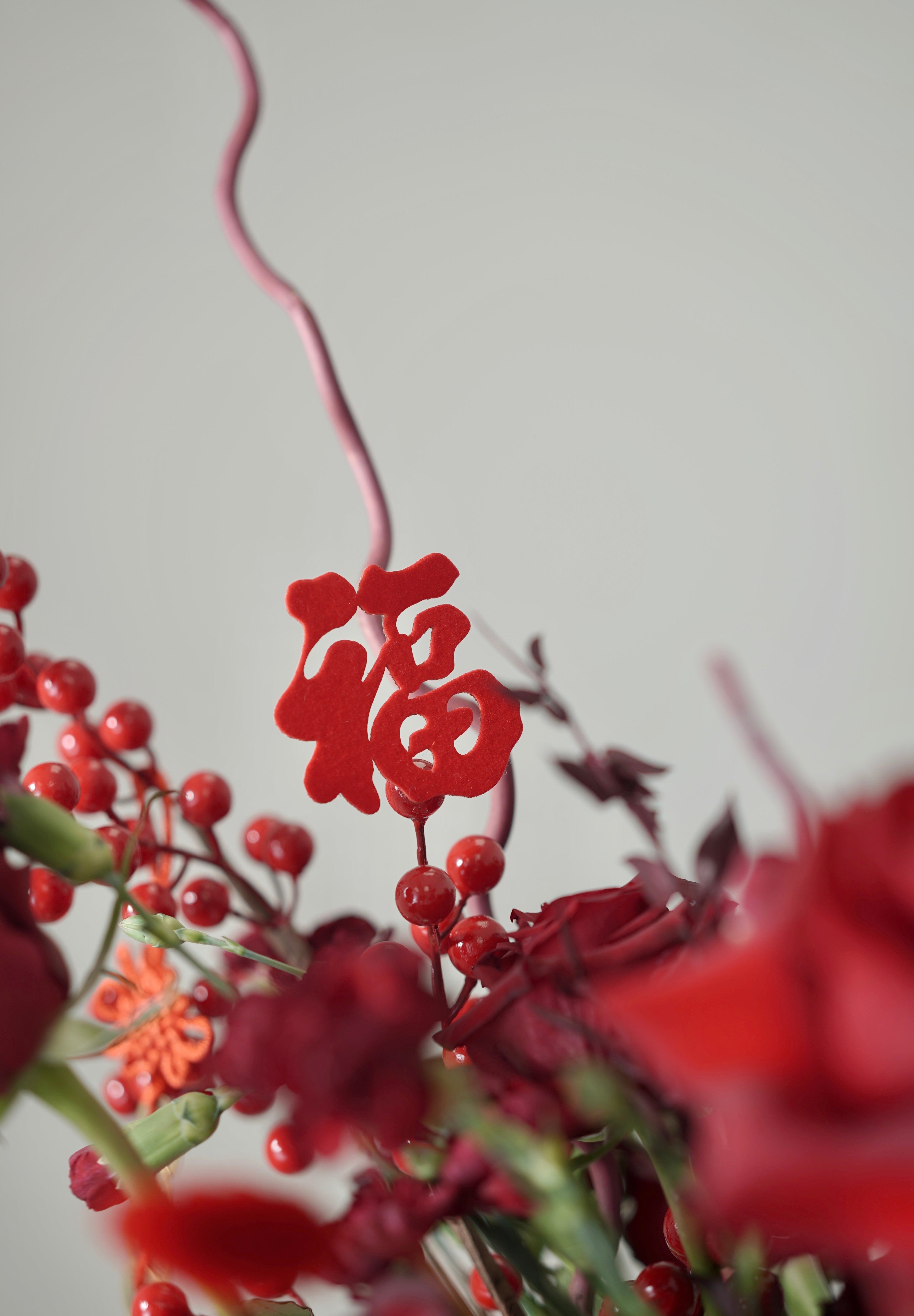 Blessing Red Rose Bucket- 2025 Chinese Lunar New Year