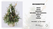 Korean Style Christmas Tree Workshop