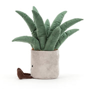 Amuseable Aloe Vera Jellycat