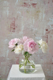 Blooming Peonies-2025 Mother’s Day