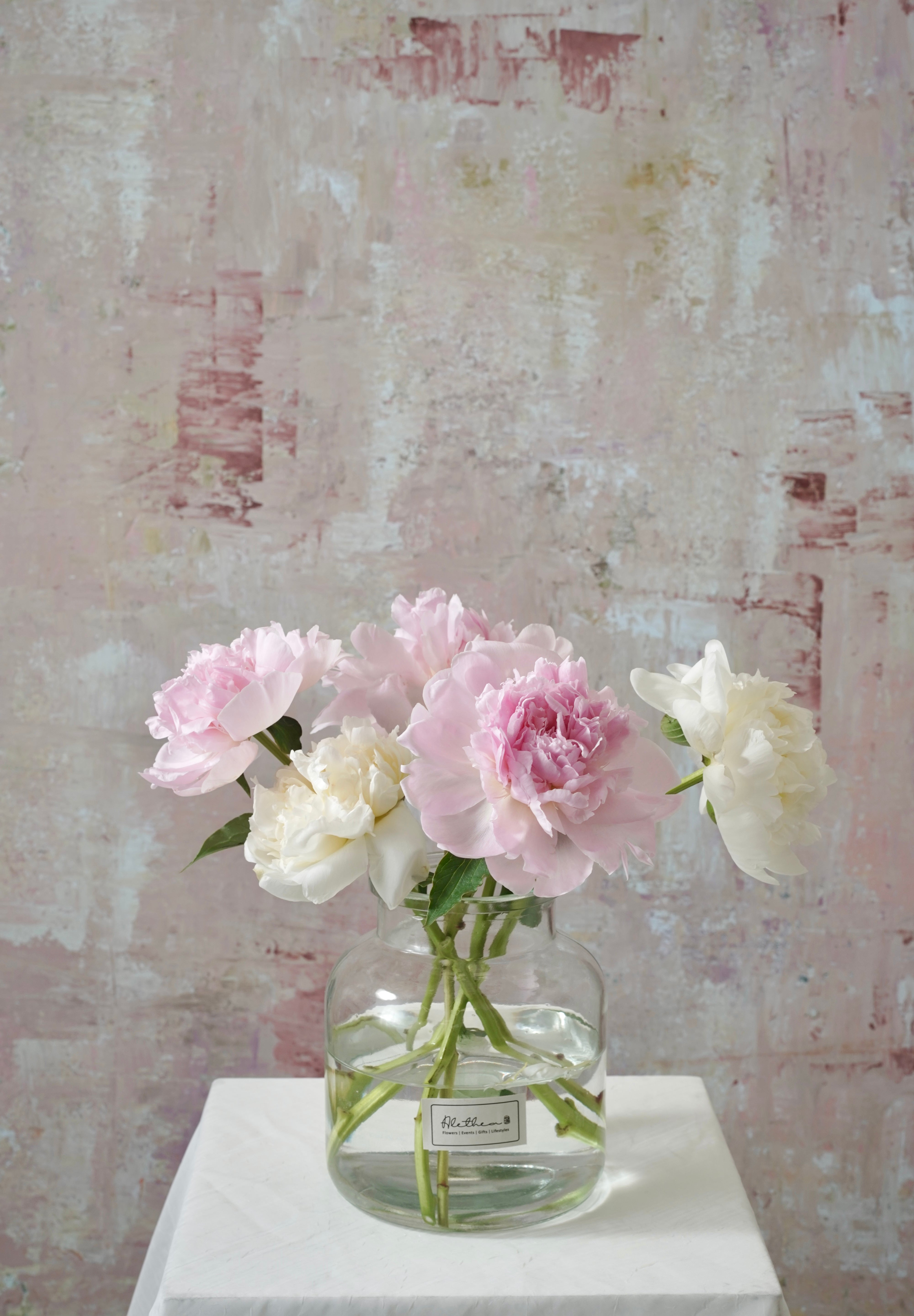 Blooming Peonies-2025 Mother’s Day