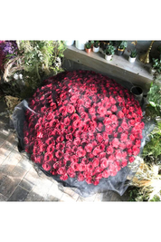 Alethea Chiffon Bouquet - Paris Red