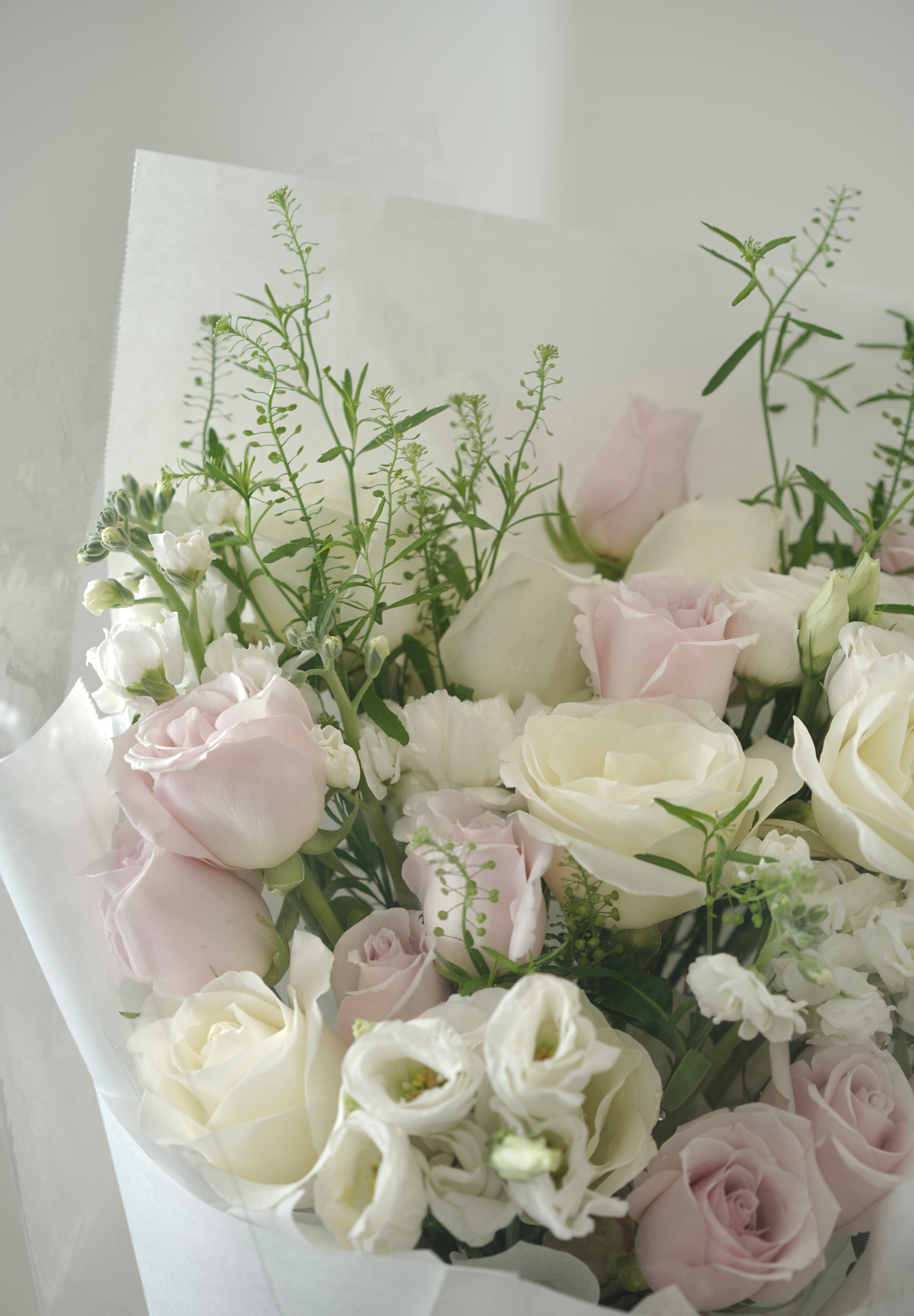 Soft Elegance