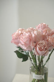 Pink Pearl Rose Vase-2025 Valentine’s Day