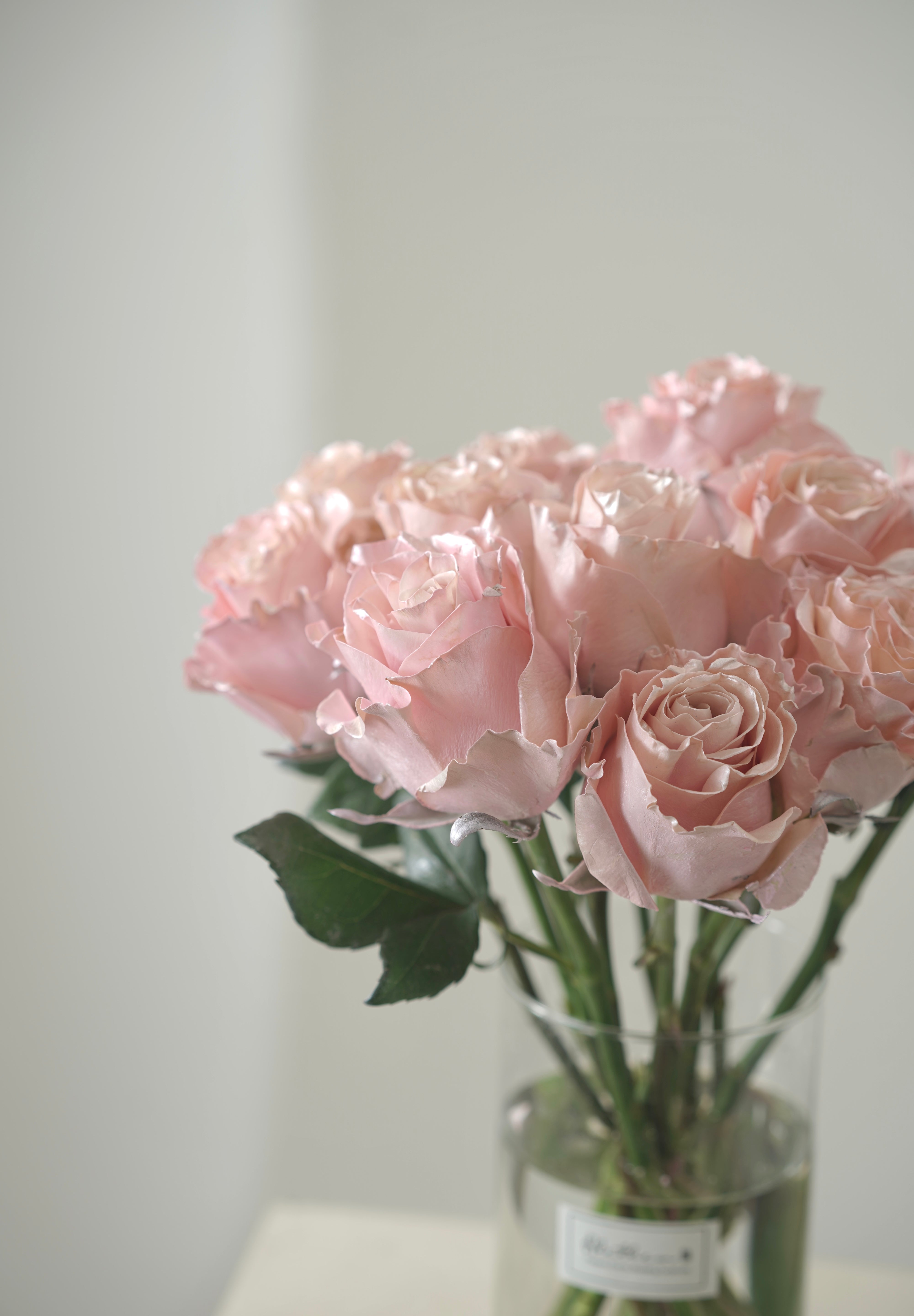 Pink Pearl Rose Vase-2025 Valentine’s Day