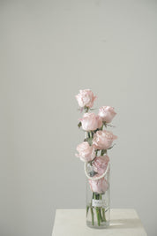 Alethea Pink Vase-2025 Valentine’s Day