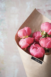 Blushing Peonies-2025 Mother’s Day