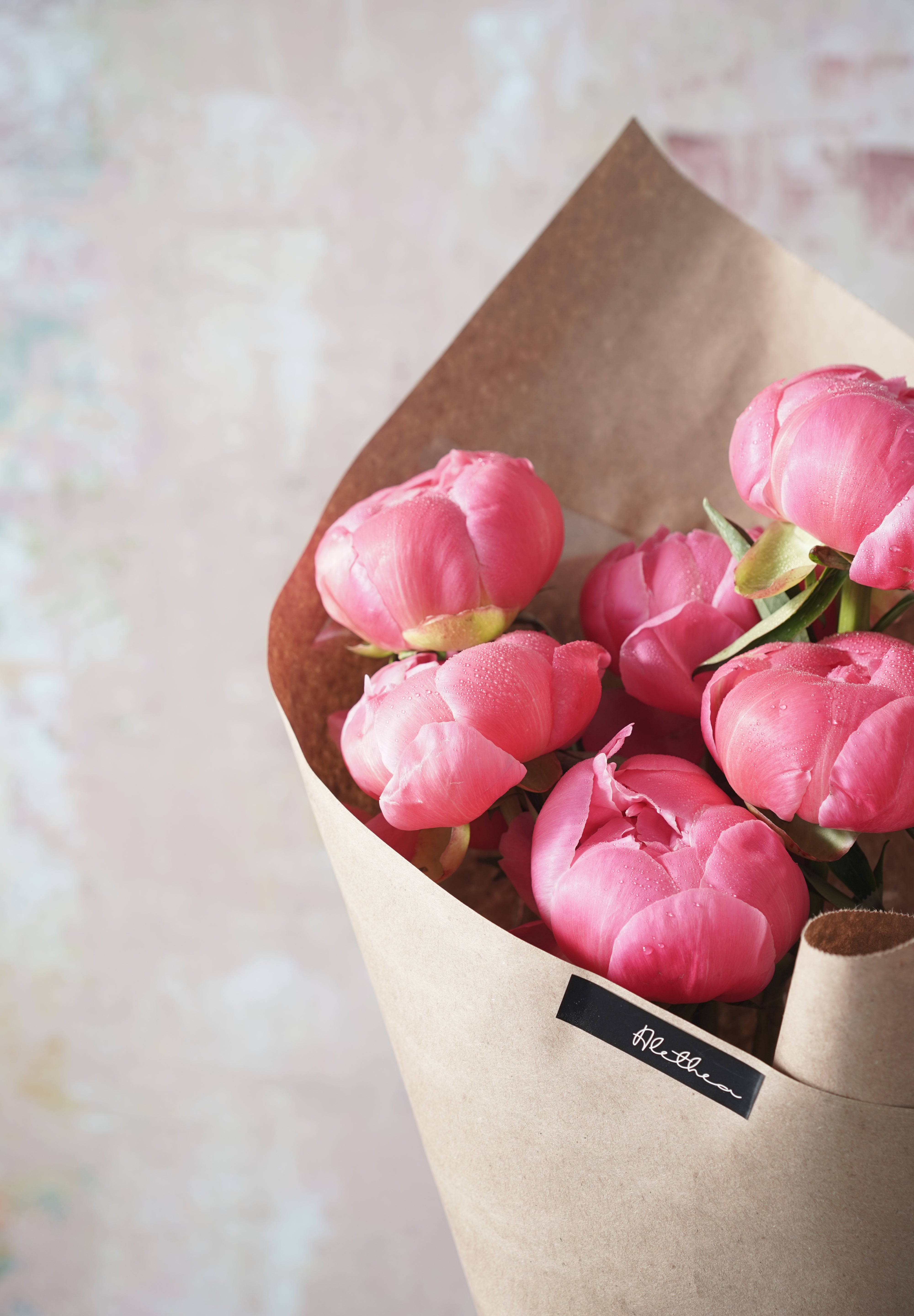 Blushing Peonies-2025 Mother’s Day
