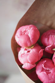 Blushing Peonies-2025 Mother’s Day