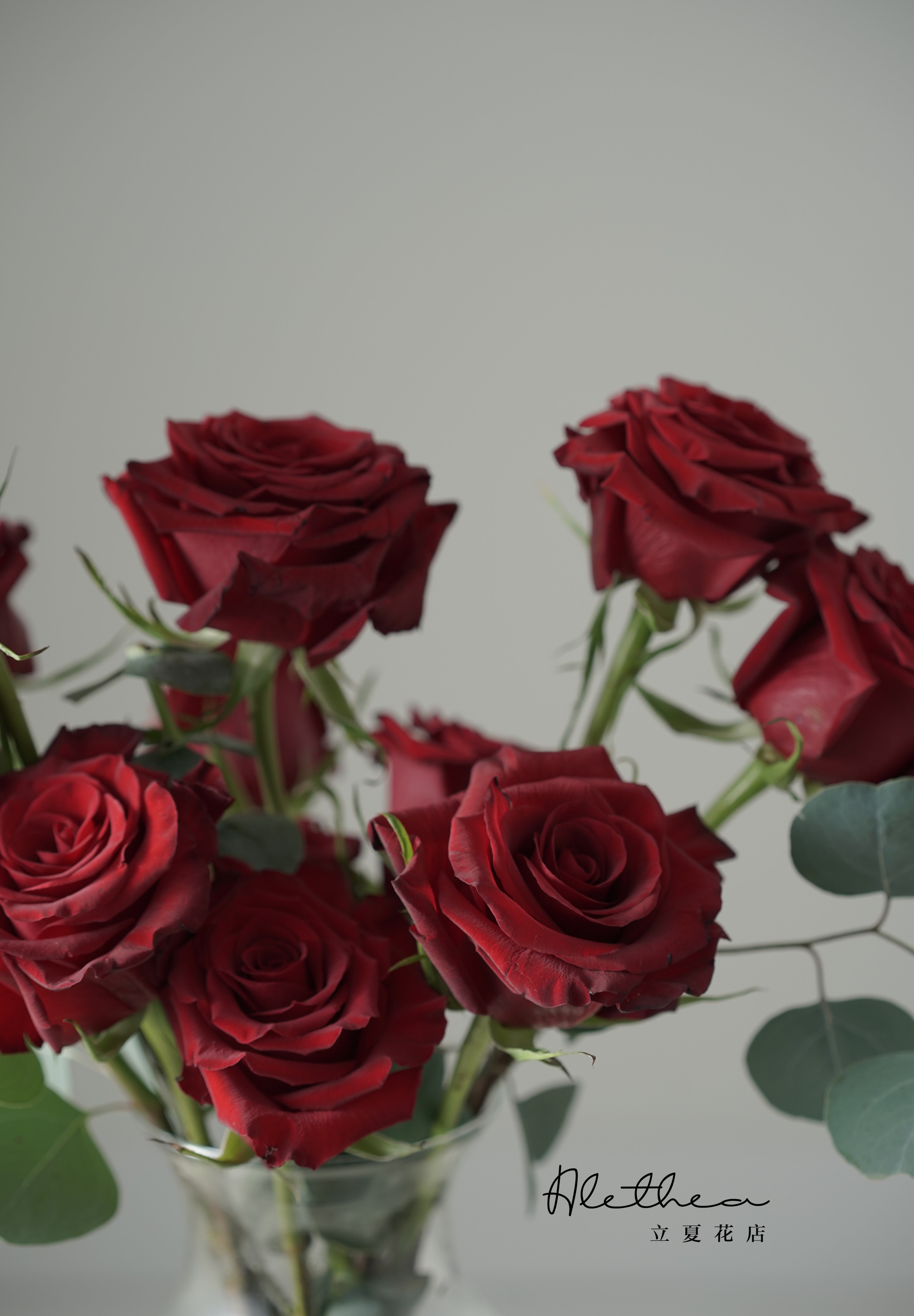 Alethea Rose Vase - Red - Valentines'Day