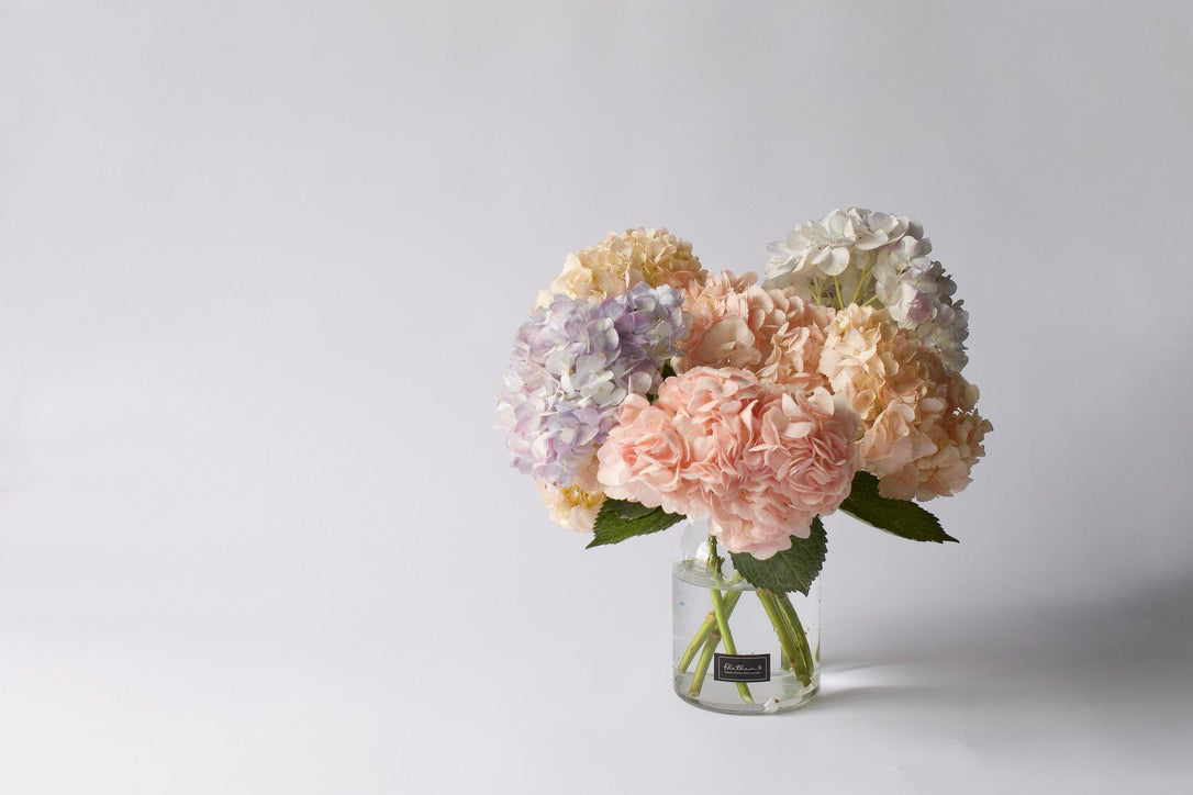 Hydrangea Vase - Mother's Day 2023