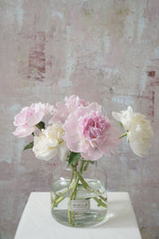 Blooming Peonies-2025 Mother’s Day