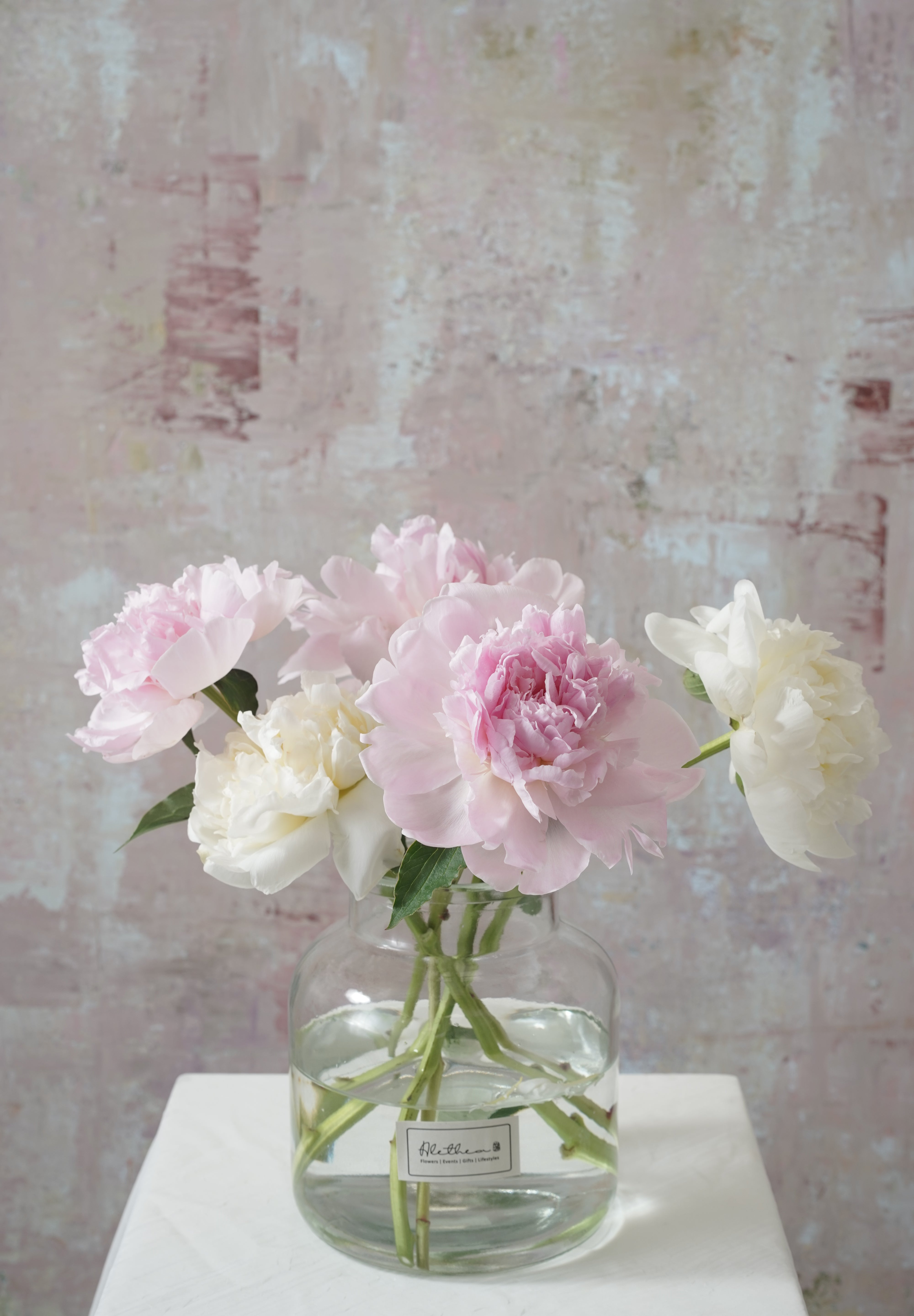 Blooming Peonies-2025 Mother’s Day