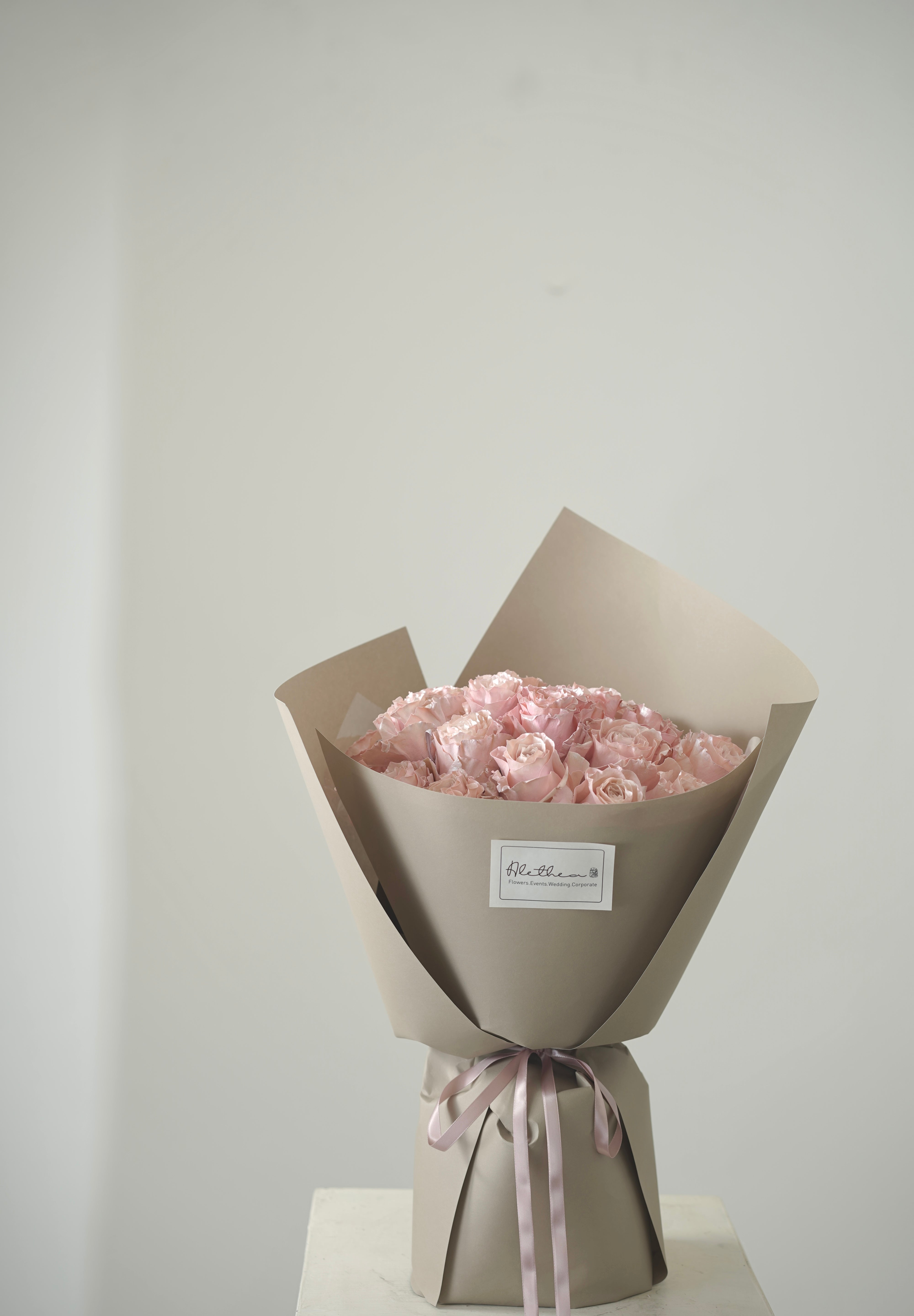 Pink Pearl-2025 Valentine’s Day