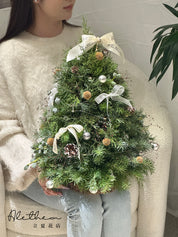 Fresh Christmas Tree 新鲜圣诞树