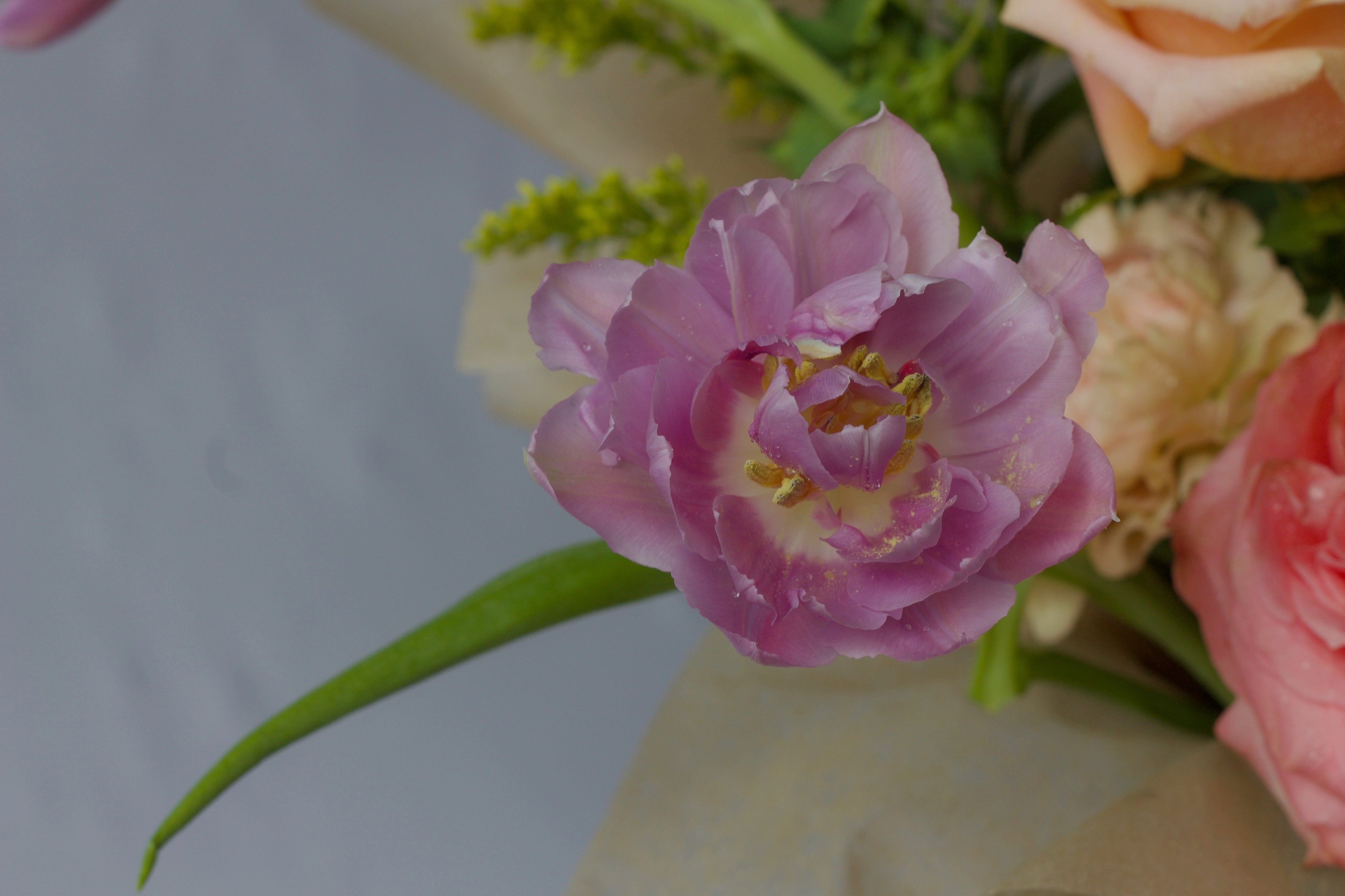 Vibrant Tangerine Arrangement - Mother's Day 2023