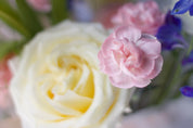 Clement Pink Arrangement - Mother's Day 2023