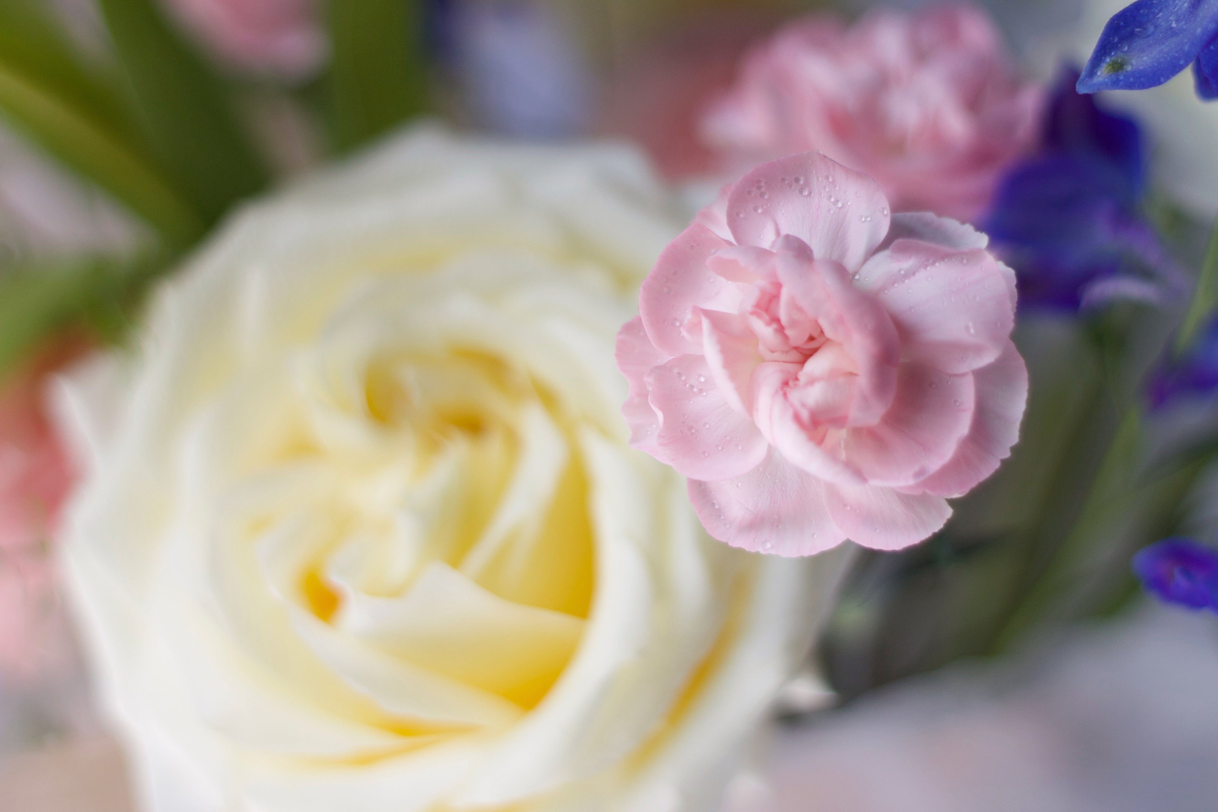 Clement Pink Arrangement - Mother's Day 2023
