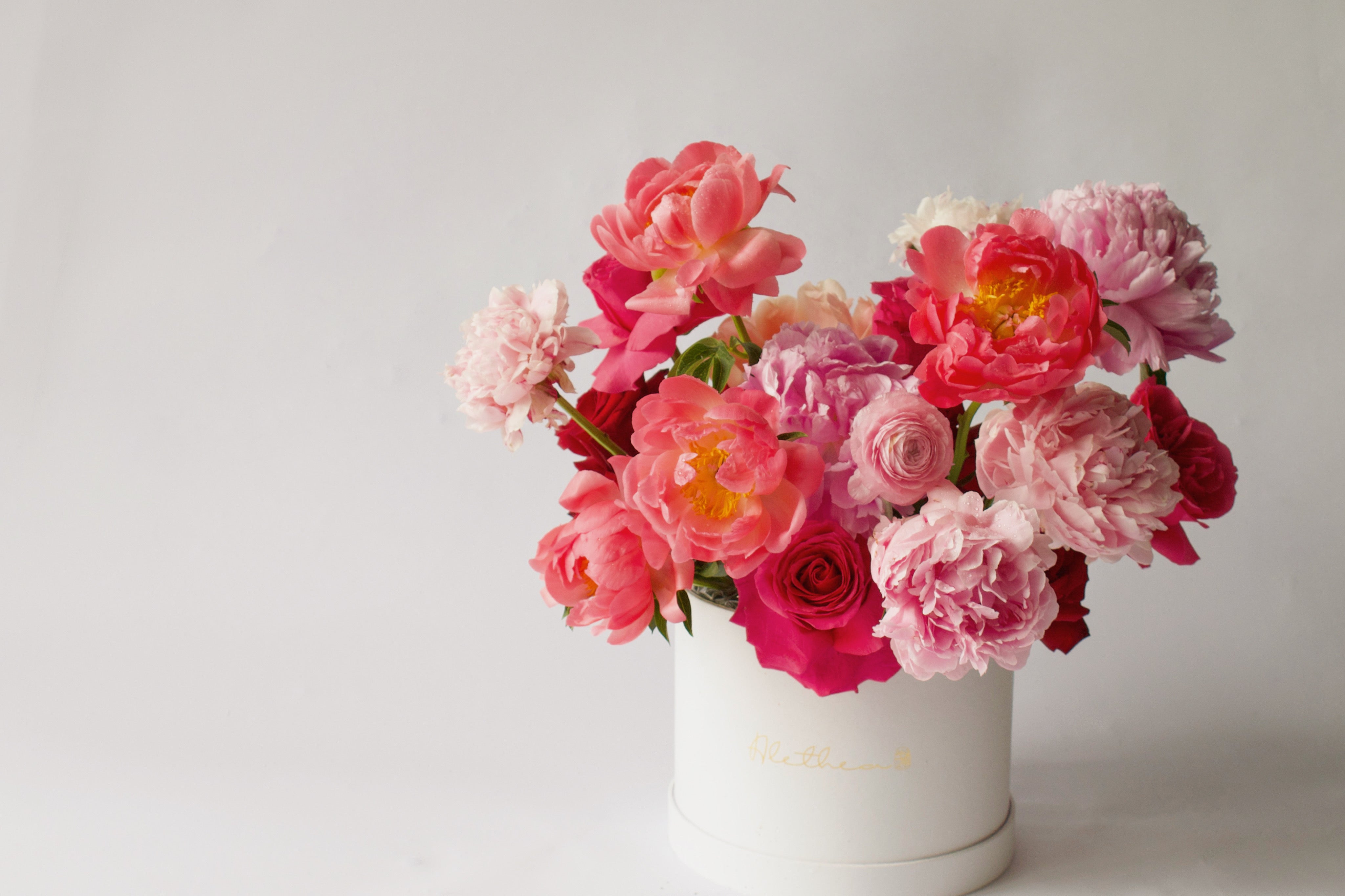 Paeonia Red Grace - Mother's Day 2023