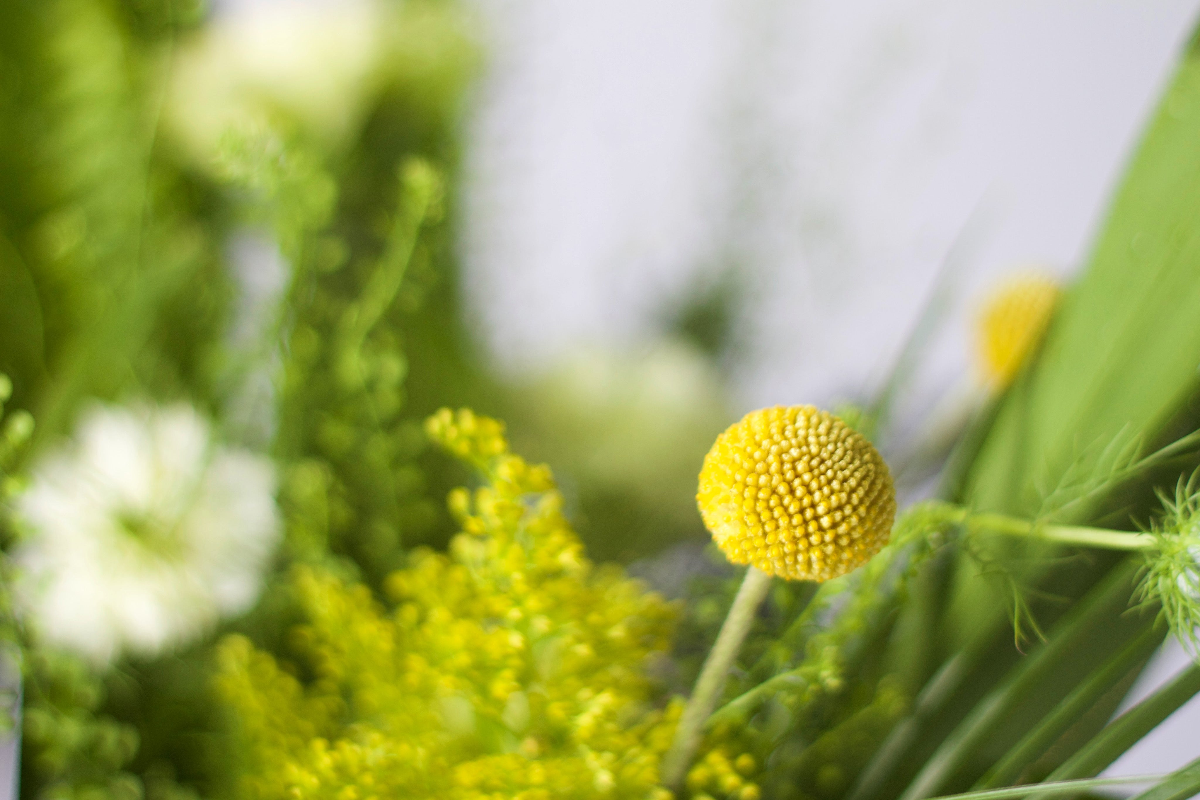 安康粽叶门挂  Wellness Door Pendant