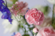 Clement Pink Vase - Mother's Day 2023