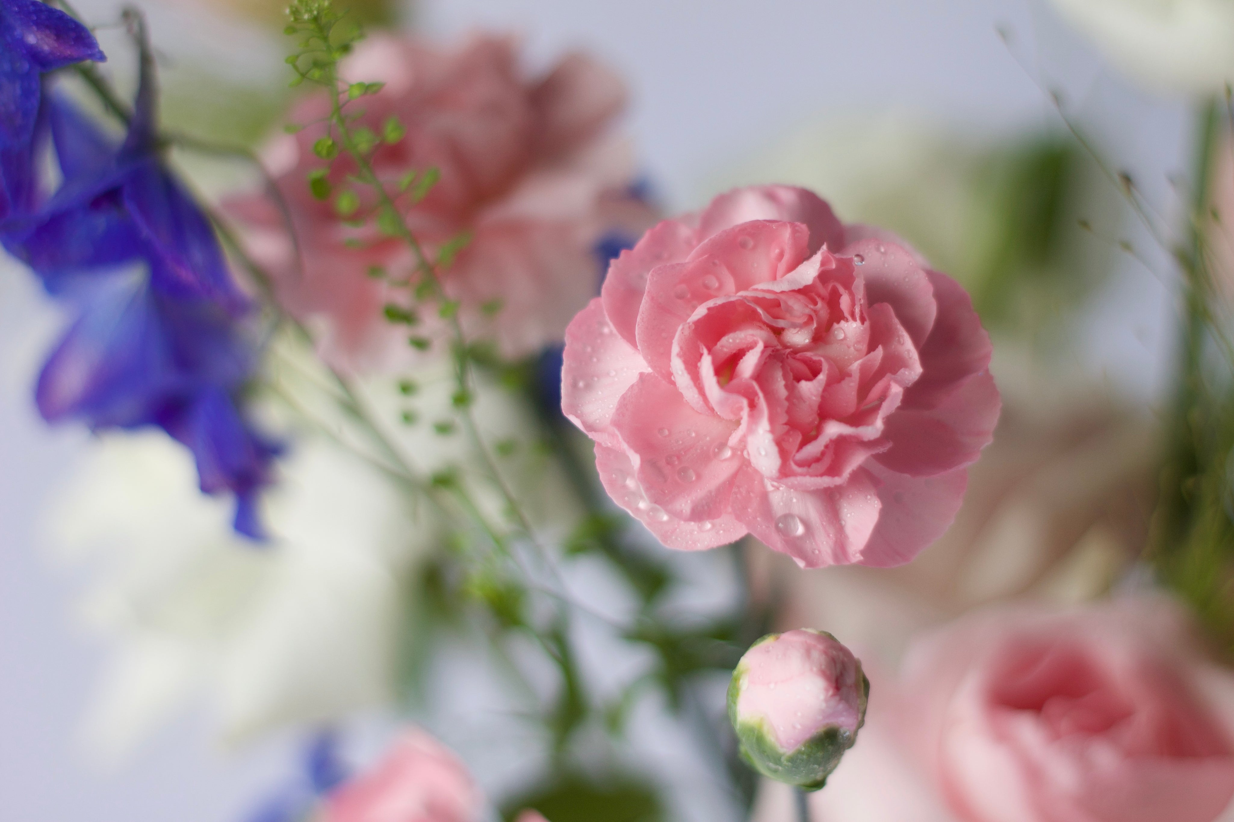 Clement Pink Vase - Mother's Day 2023
