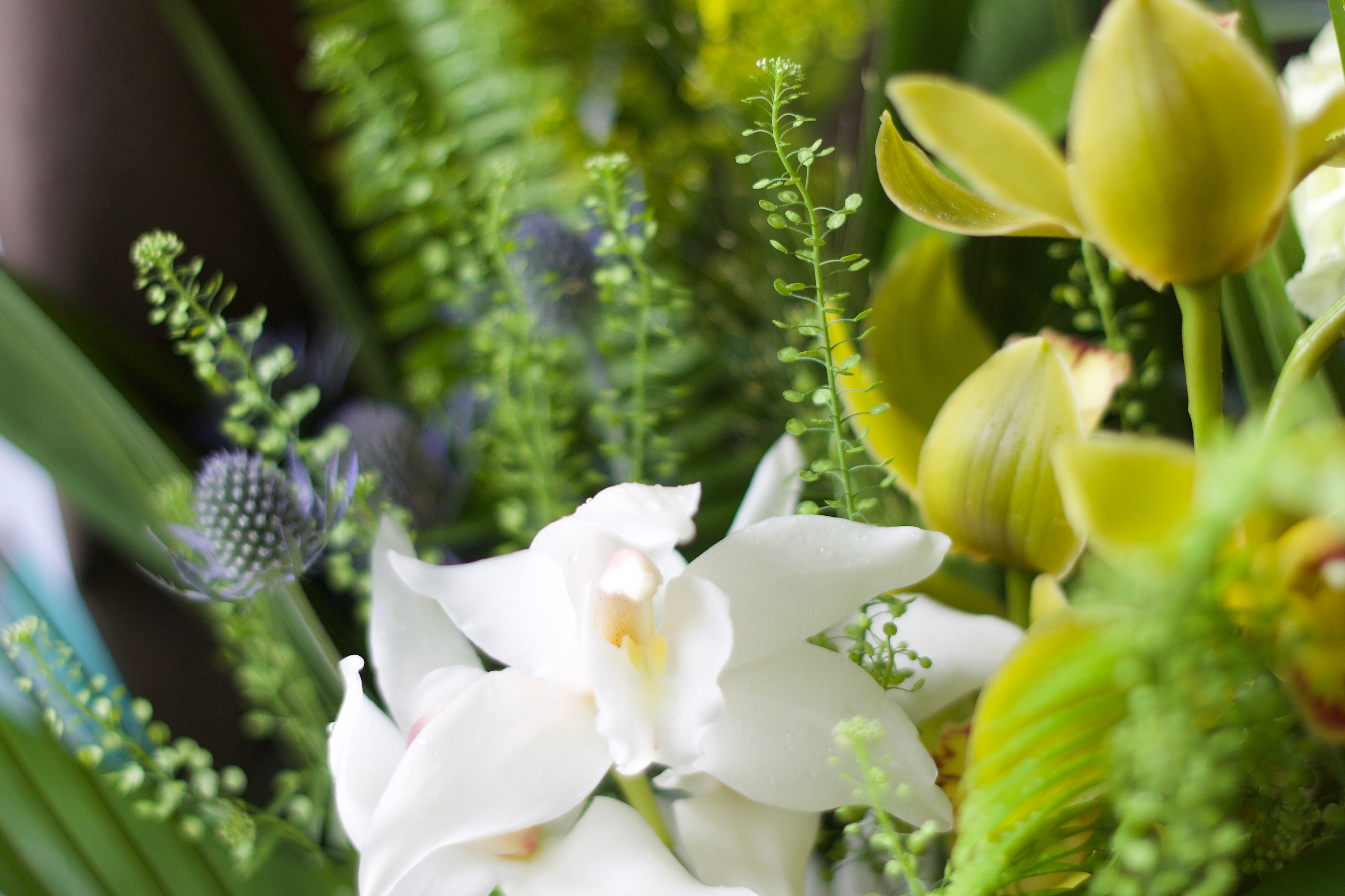 松香蕙兰福禄大花束 Cymbidium Happiness and Rich Bouquet