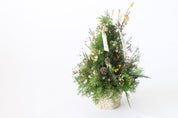 Fresh Christmas Tree 新鲜圣诞树