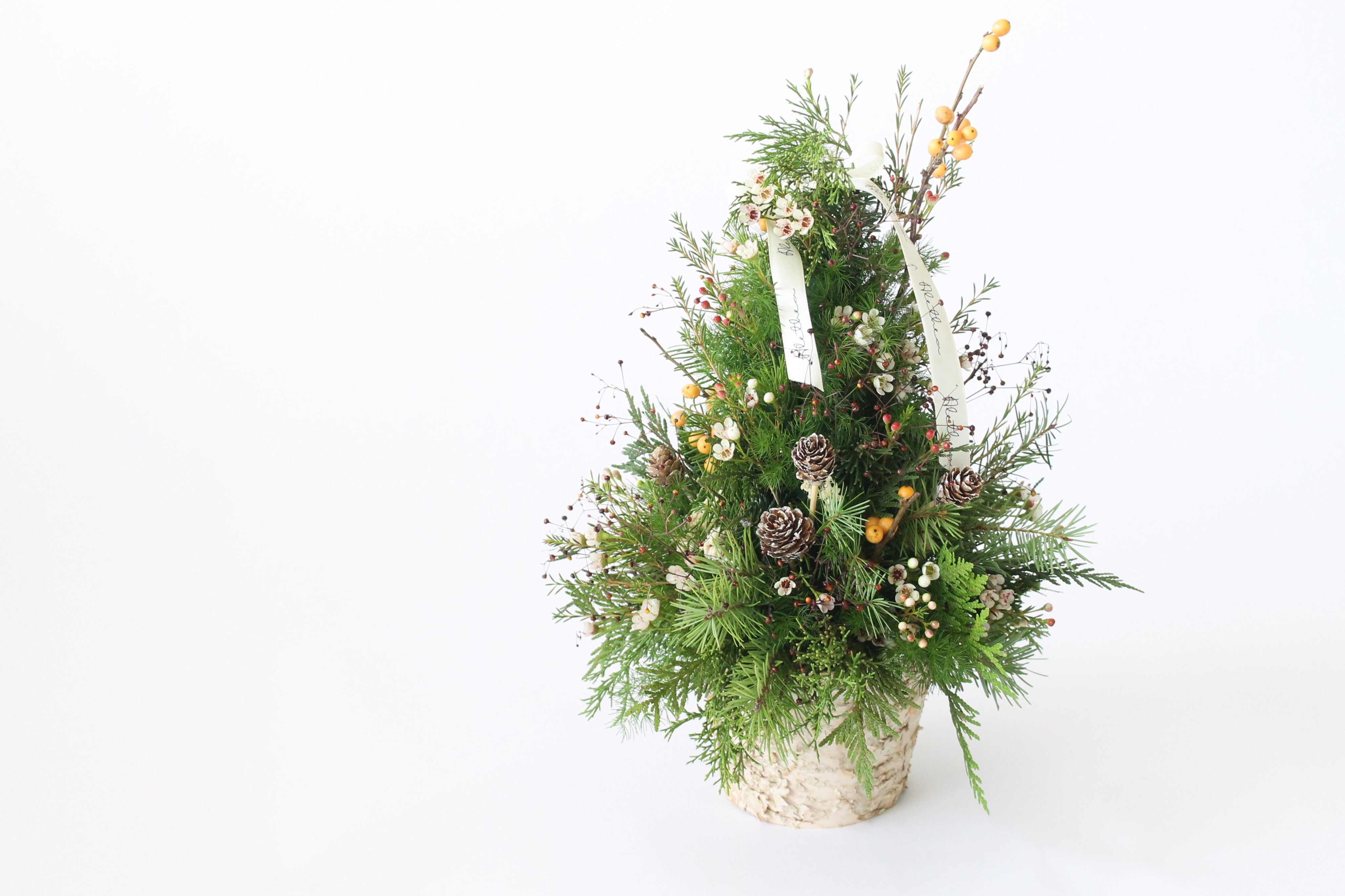 Fresh Christmas Tree 新鲜圣诞树
