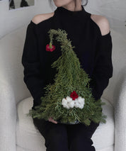 Fresh Christmas Tree 新鲜圣诞树