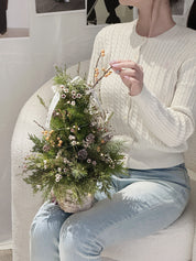 Fresh Christmas Tree 新鲜圣诞树
