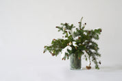 Alethea Vase Arrangement - Christmas Noble Snow