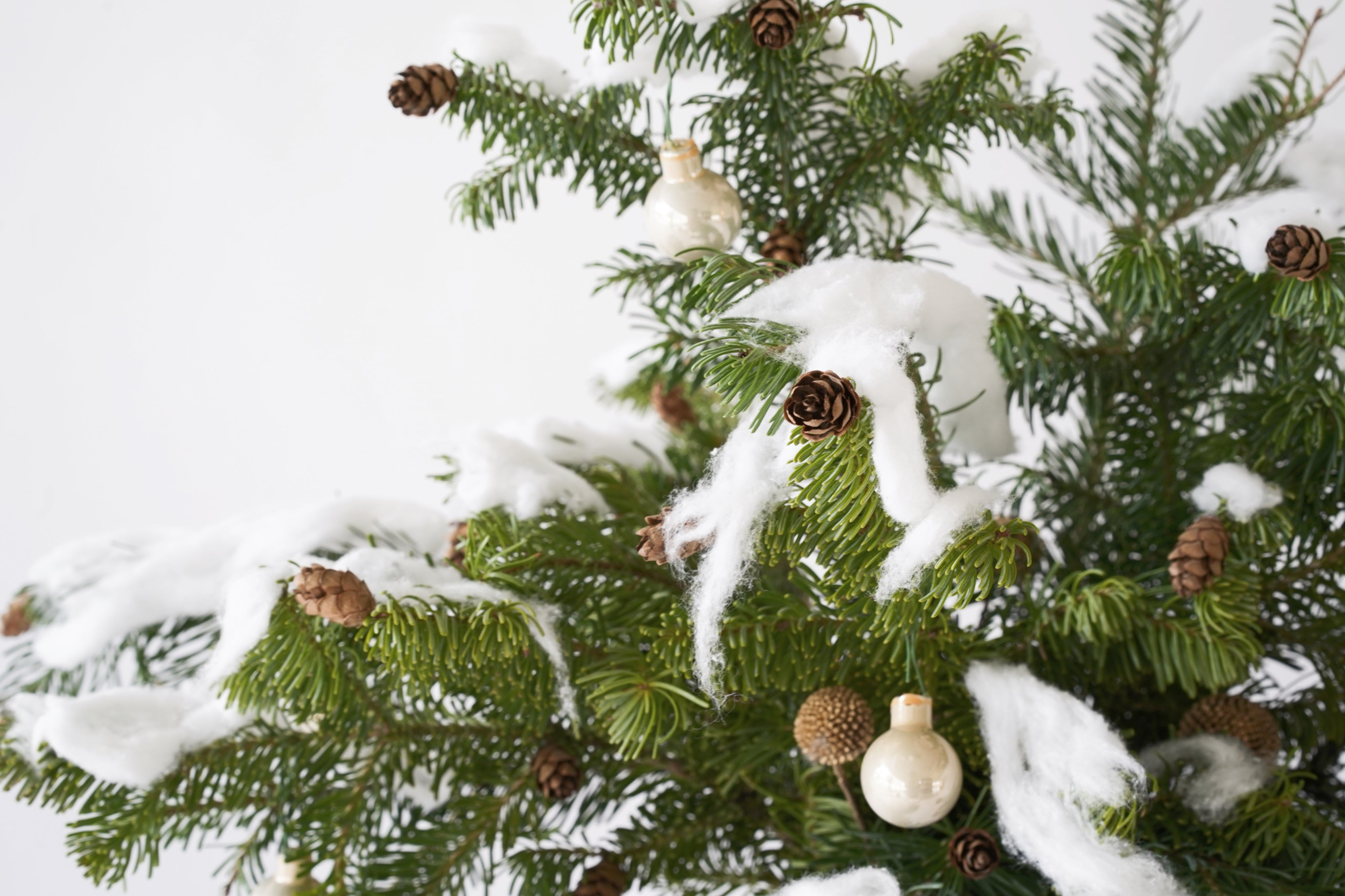 Alethea Vase Arrangement - Christmas Noble Snow