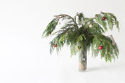 Alethea Vase Arrangement - Christmas Cedar