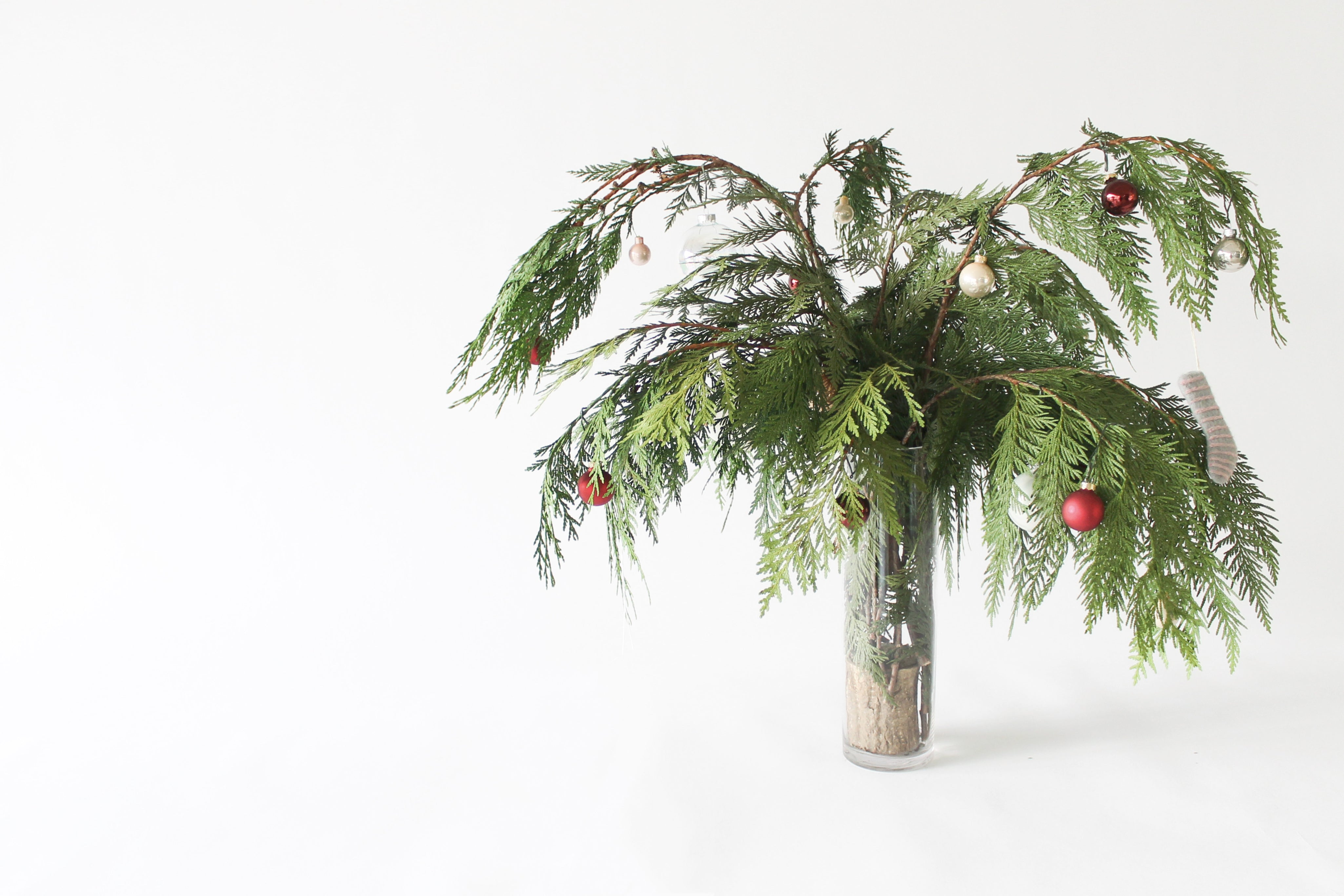 Alethea Vase Arrangement - Christmas Cedar