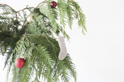 Alethea Vase Arrangement - Christmas Cedar