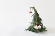Fresh Christmas Tree 新鲜圣诞树