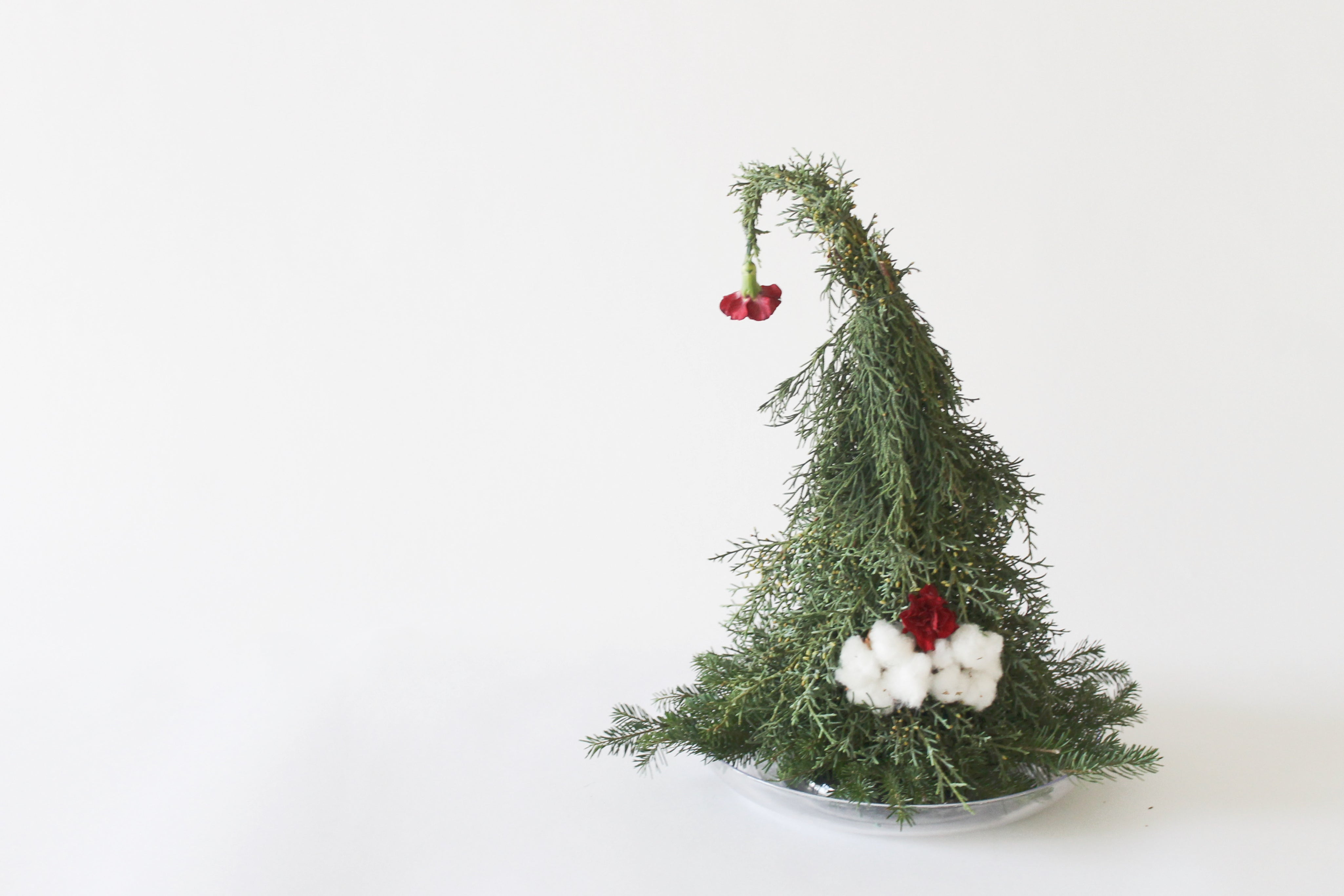 Fresh Christmas Tree 新鲜圣诞树