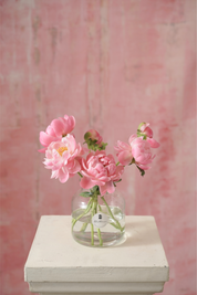 Mother's Day 2024- Herbaceous Peony At Sunset -Alethea Vase Arrangement