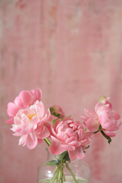 Mother's Day 2024- Herbaceous Peony At Sunset -Alethea Vase Arrangement