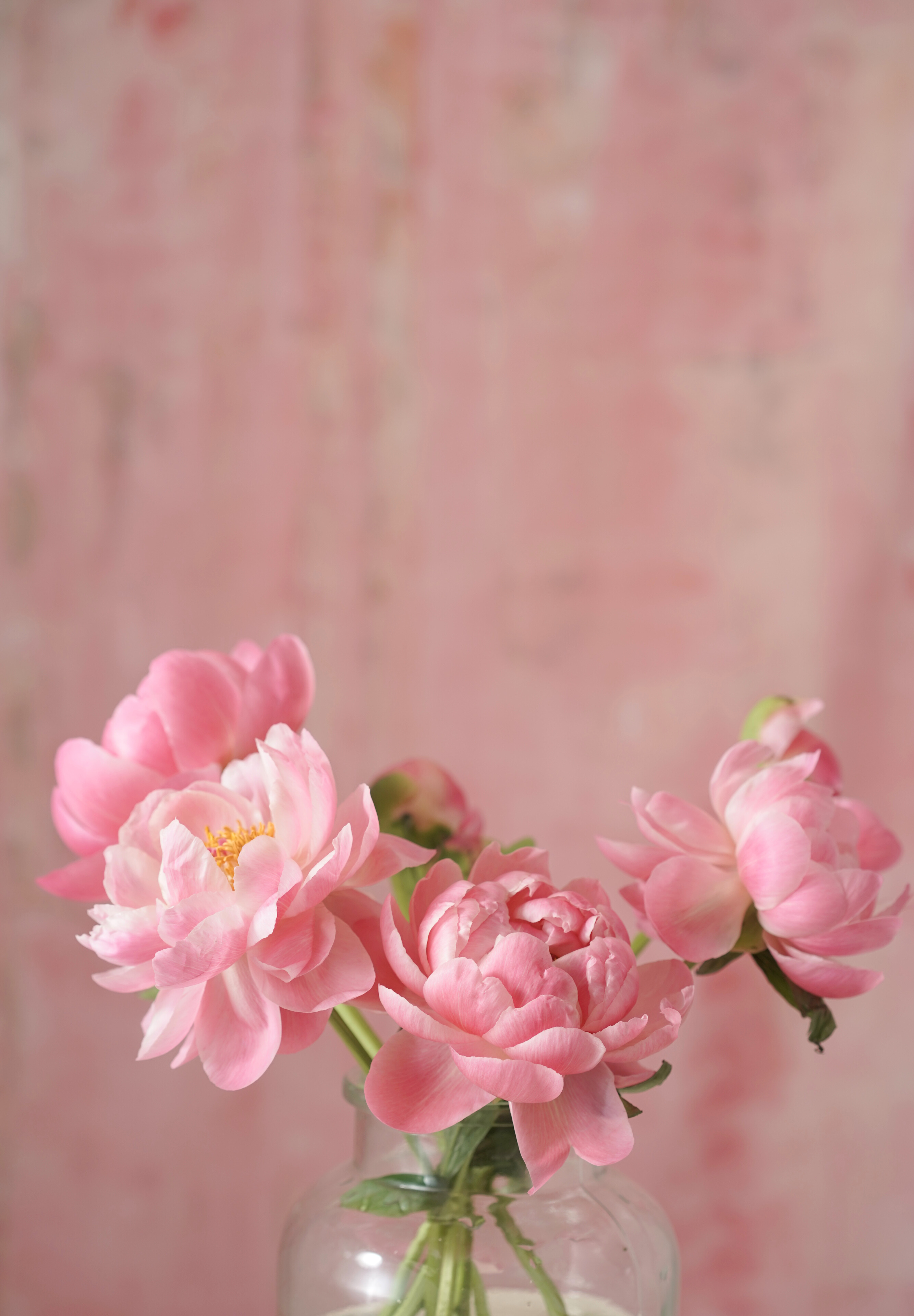 Mother's Day 2024- Herbaceous Peony At Sunset -Alethea Vase Arrangement