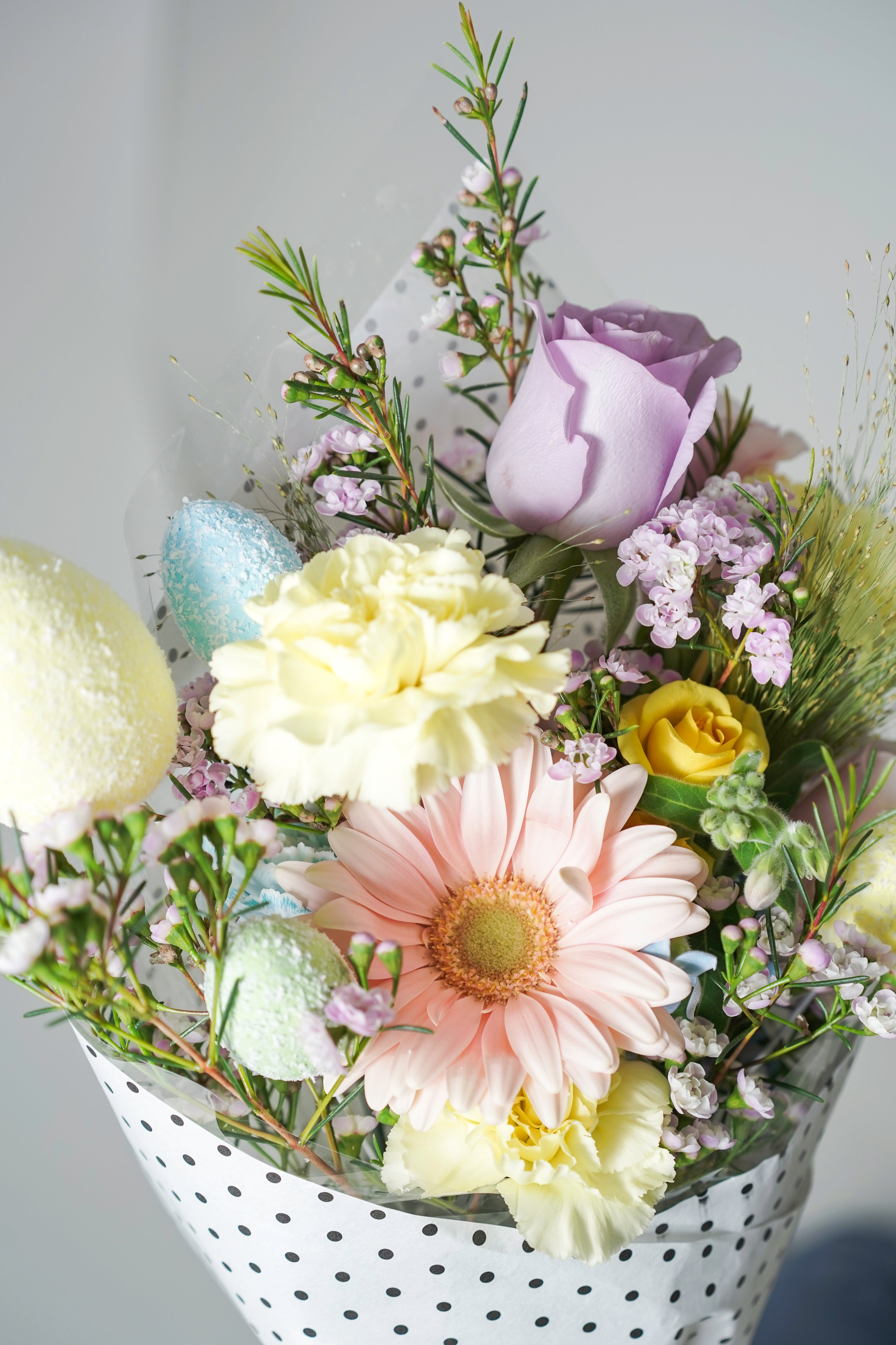Pastel Promise