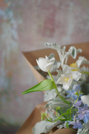 Whispering Grace-2025 Mother’s Day
