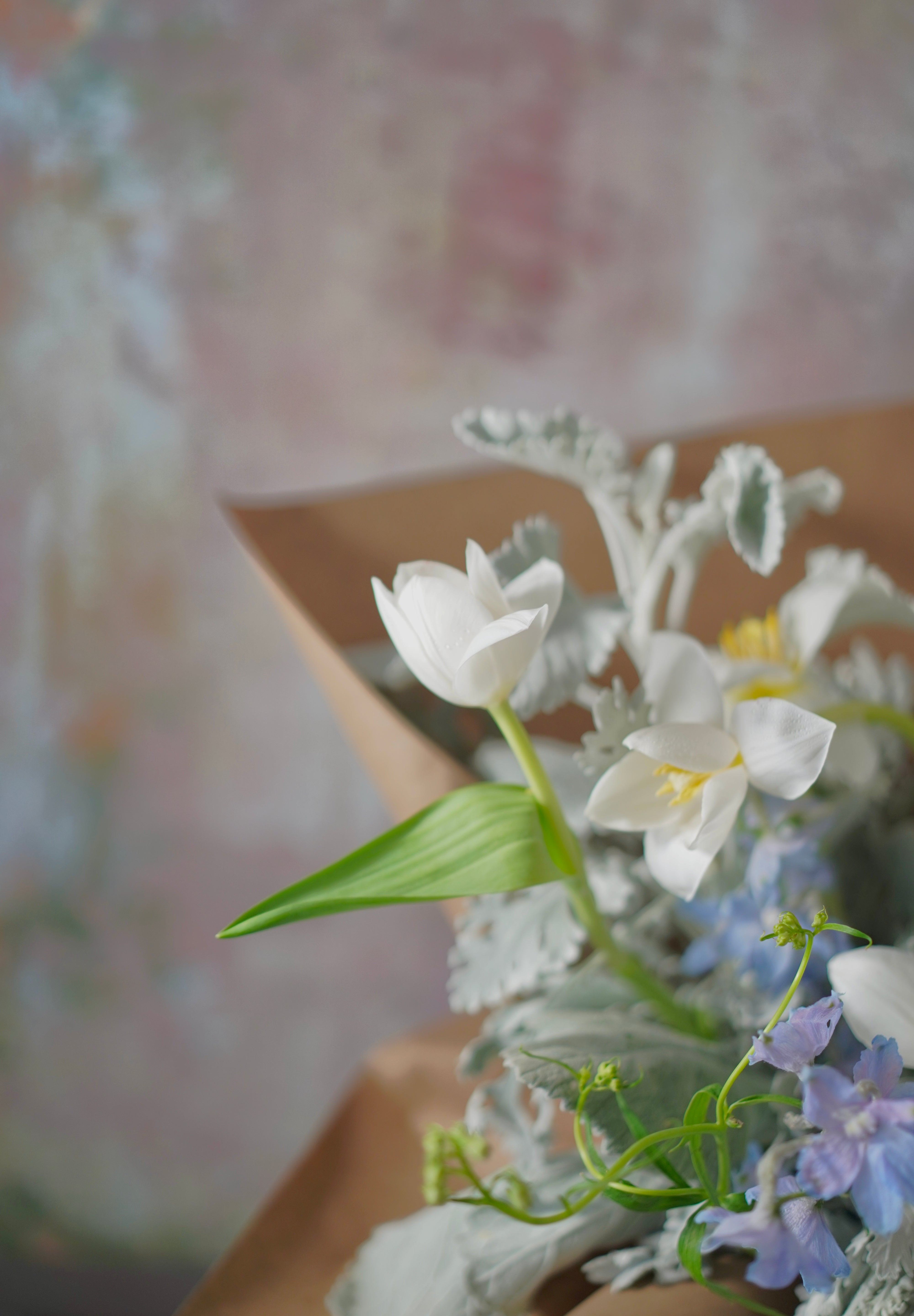 Whispering Grace-2025 Mother’s Day