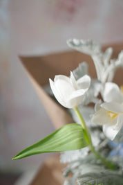 Whispering Grace-2025 Mother’s Day