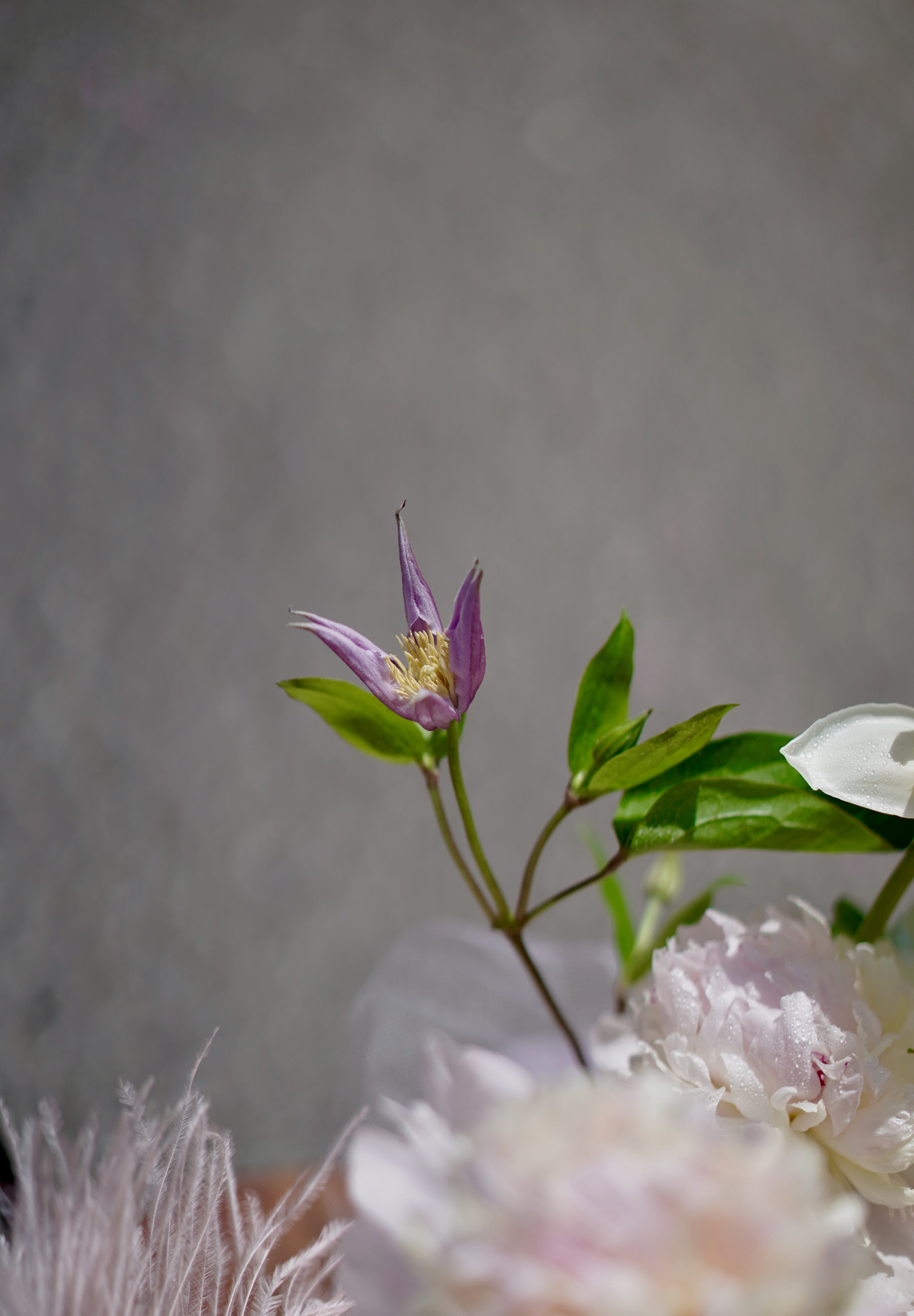 Vernal Blooms 春日花海