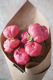 Blushing Peonies-2025 Mother’s Day